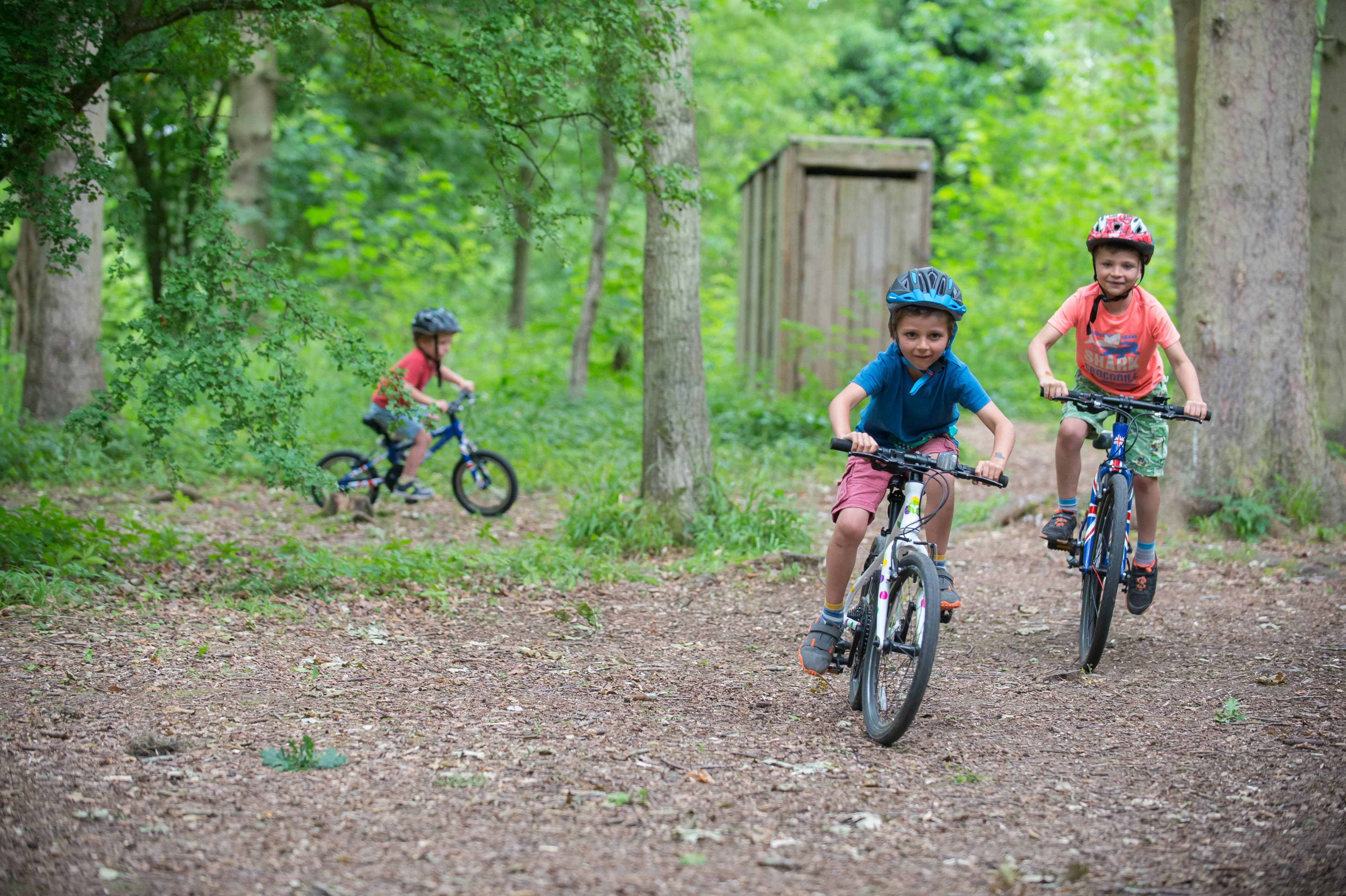 Frog hotsell boys bike