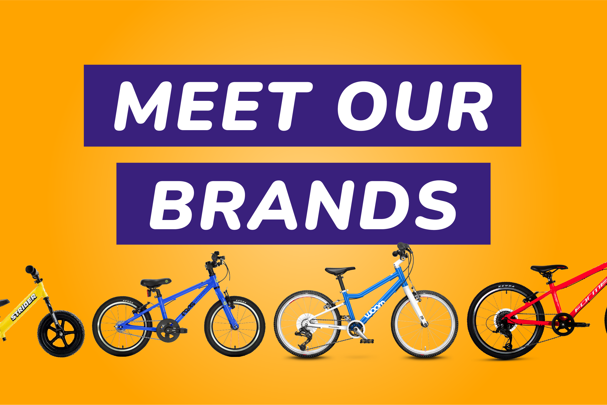 meet our brands