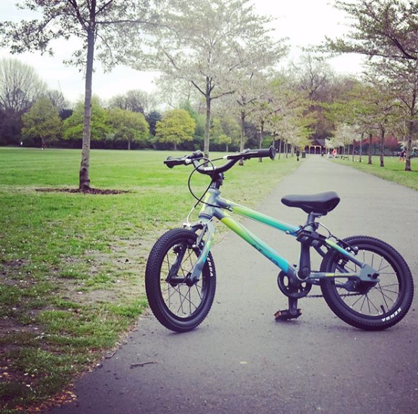 bike in a park