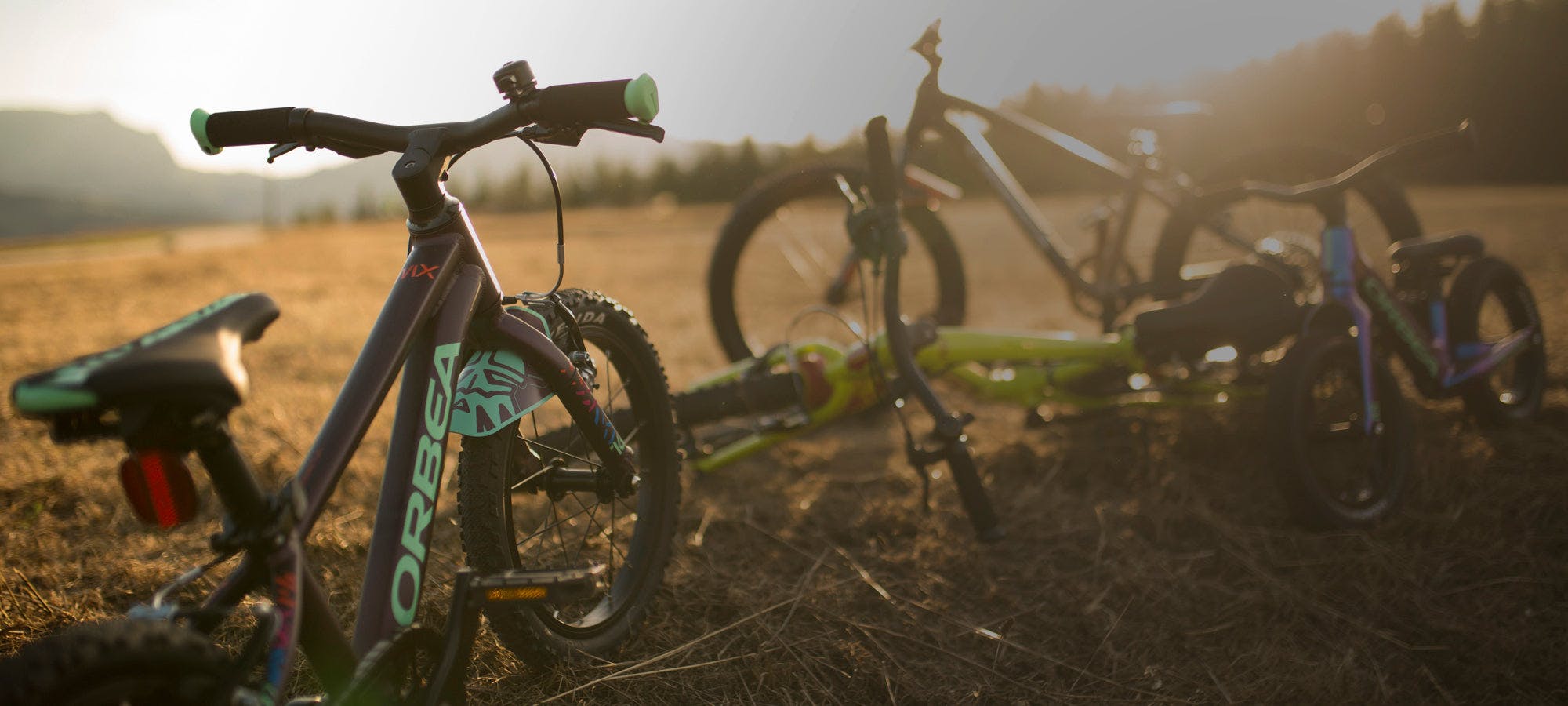 Orbea Bikes collection header image