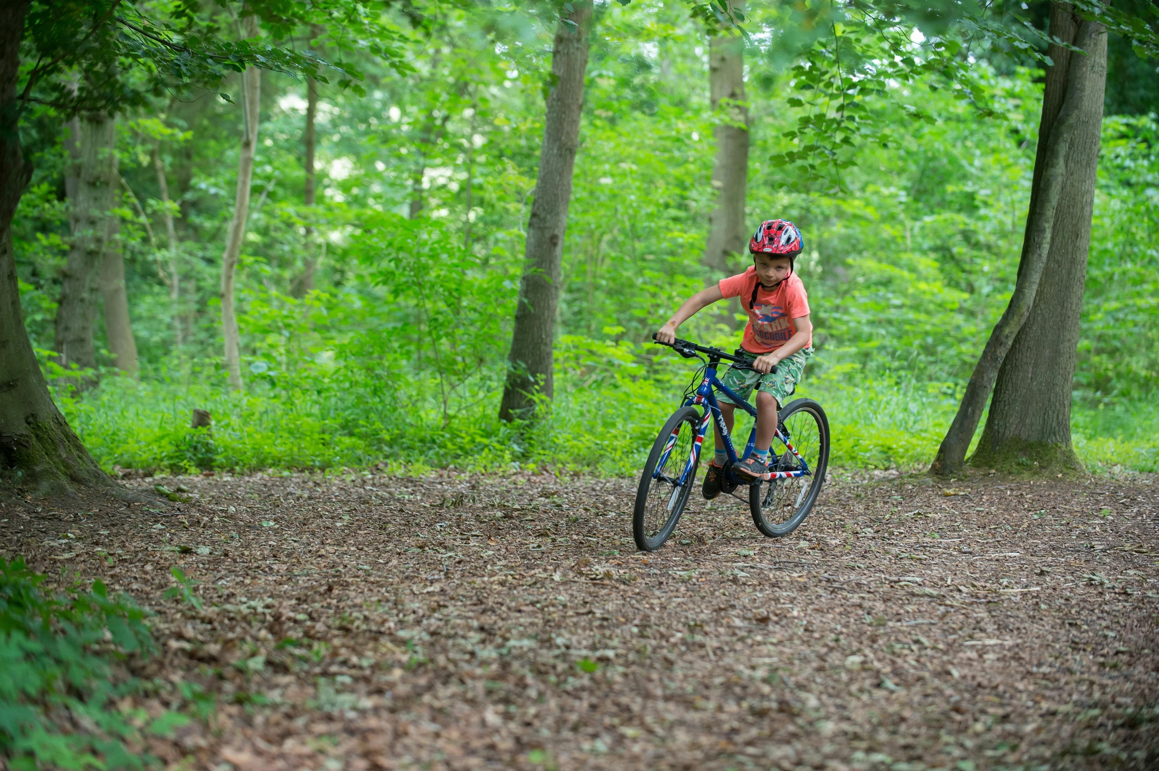 Boy on mountain bike cycling through forest