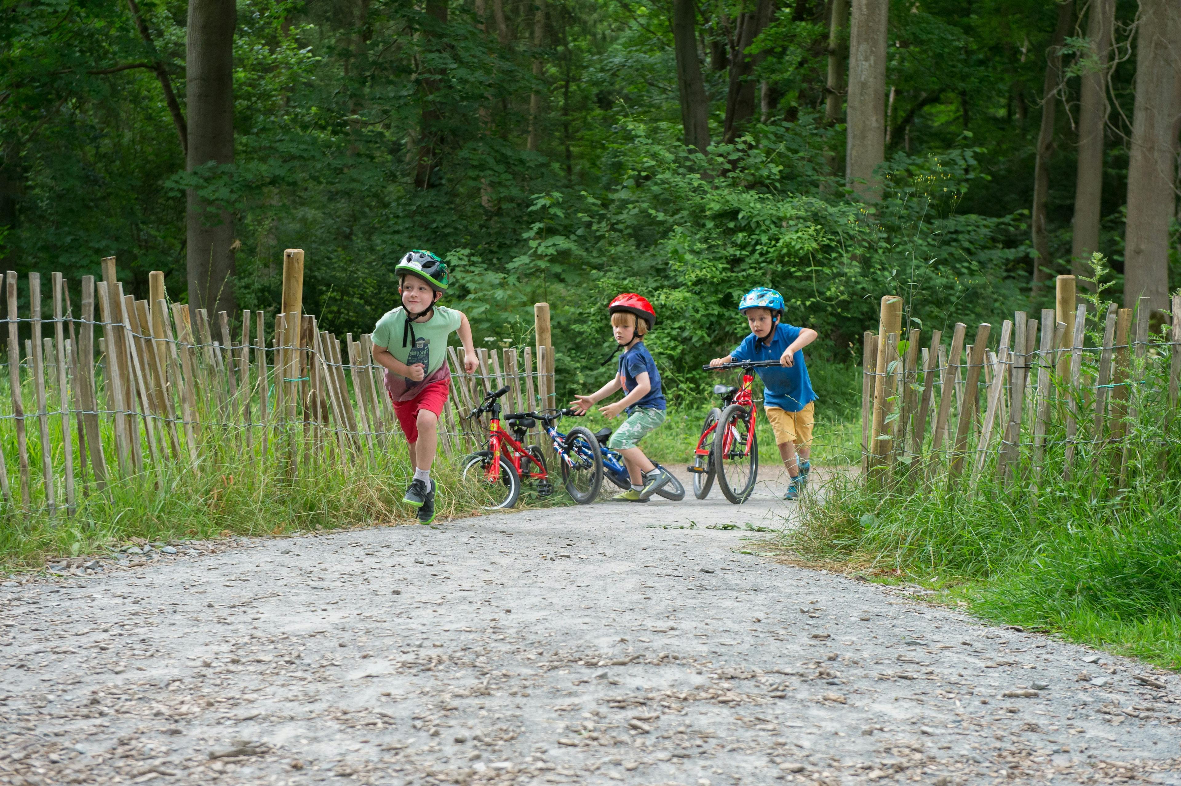Three children playing on bicycles near a forest