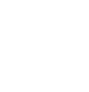 snowflake image